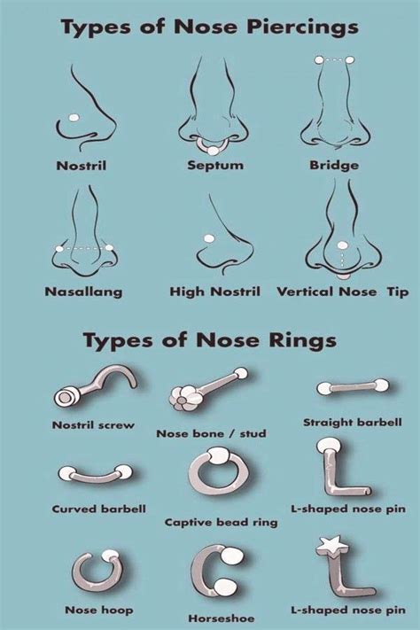 nose piercing men|types of nose piercings chart.